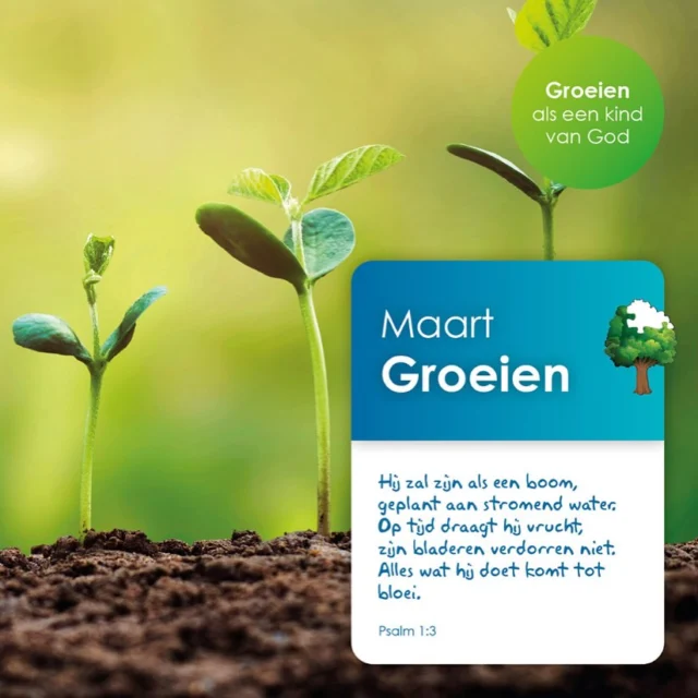 🌱MAANDVIERING 🌱Groeien in geloofDat was het thema van de maandviering. Wij zijn het jonge plantje, Jezus de wortels van ons bestaan. Het is belangrijk om vast te blijven zitten aan Jezus. Dan kunnen we blijven groeien. Telkens heb je weer wat nodig om verder te groeien. Zoals bijvoorbeeld Bijbellezen, zingen en bidden. #maandviering #noorderbasis #geloof #groeien #thema #mozaiek #schoolmetdebijbel #haren #maart